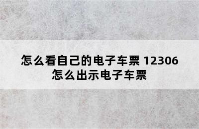 怎么看自己的电子车票 12306怎么出示电子车票